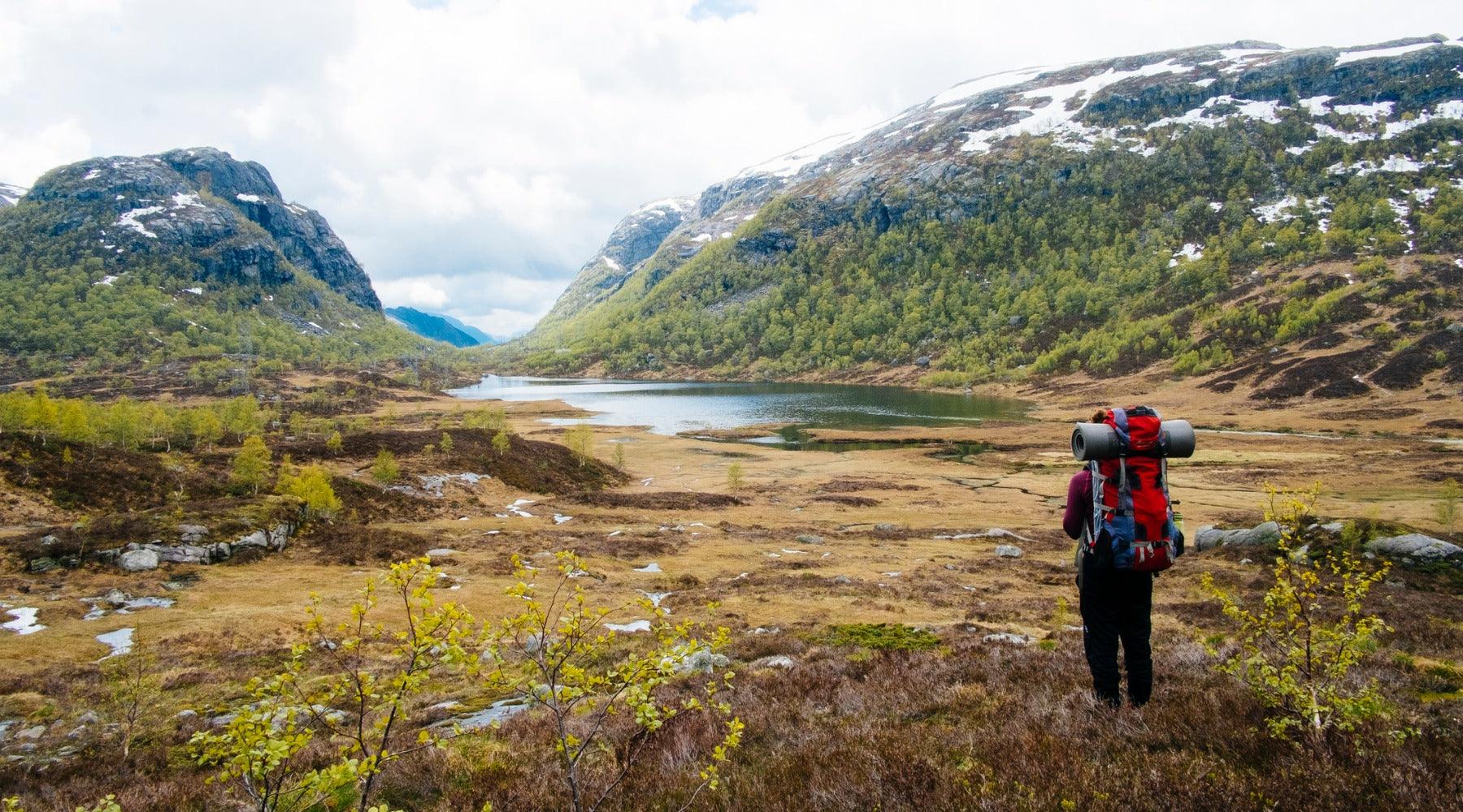 Scandinavian Design’s Love Affair with Nature