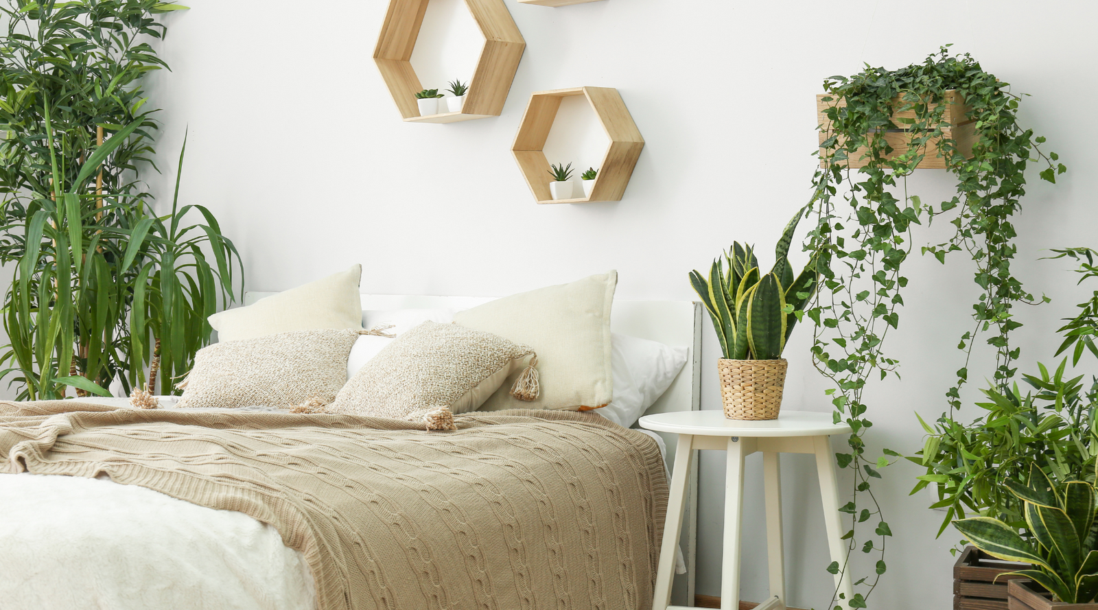 Curated visual reference: Gallery Detail: Biophilic Bedroom Layouts